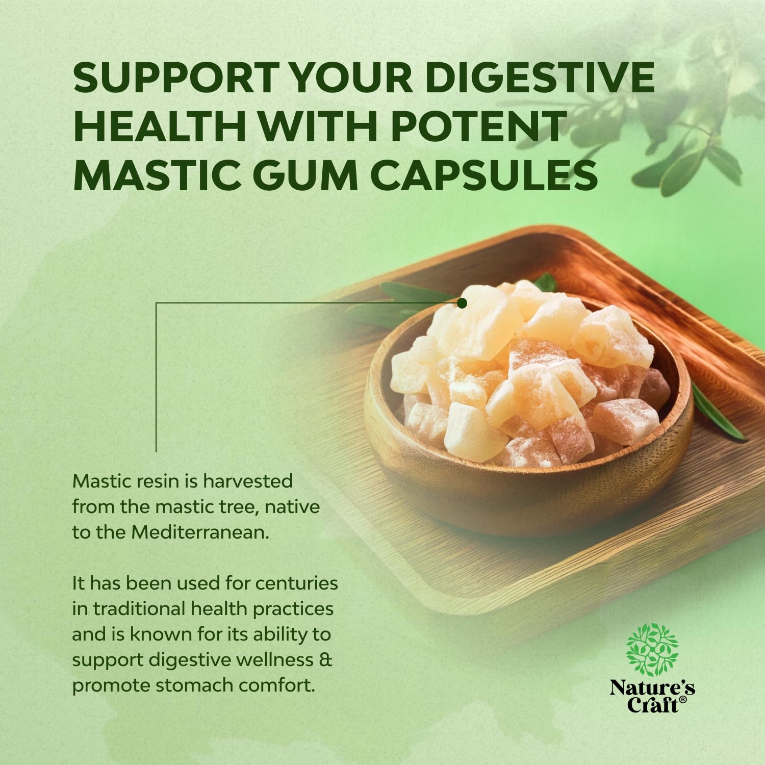 Foto 3 | Cápsulas De Mastica Supplement Natures Craft, 30 Porciones - Venta Internacional.