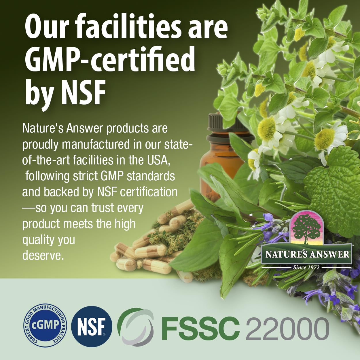 Foto 6 | Suplemento De Extracto De Hoja De Gymnema De Nature's Answer, 30 Ml - Venta Internacional.