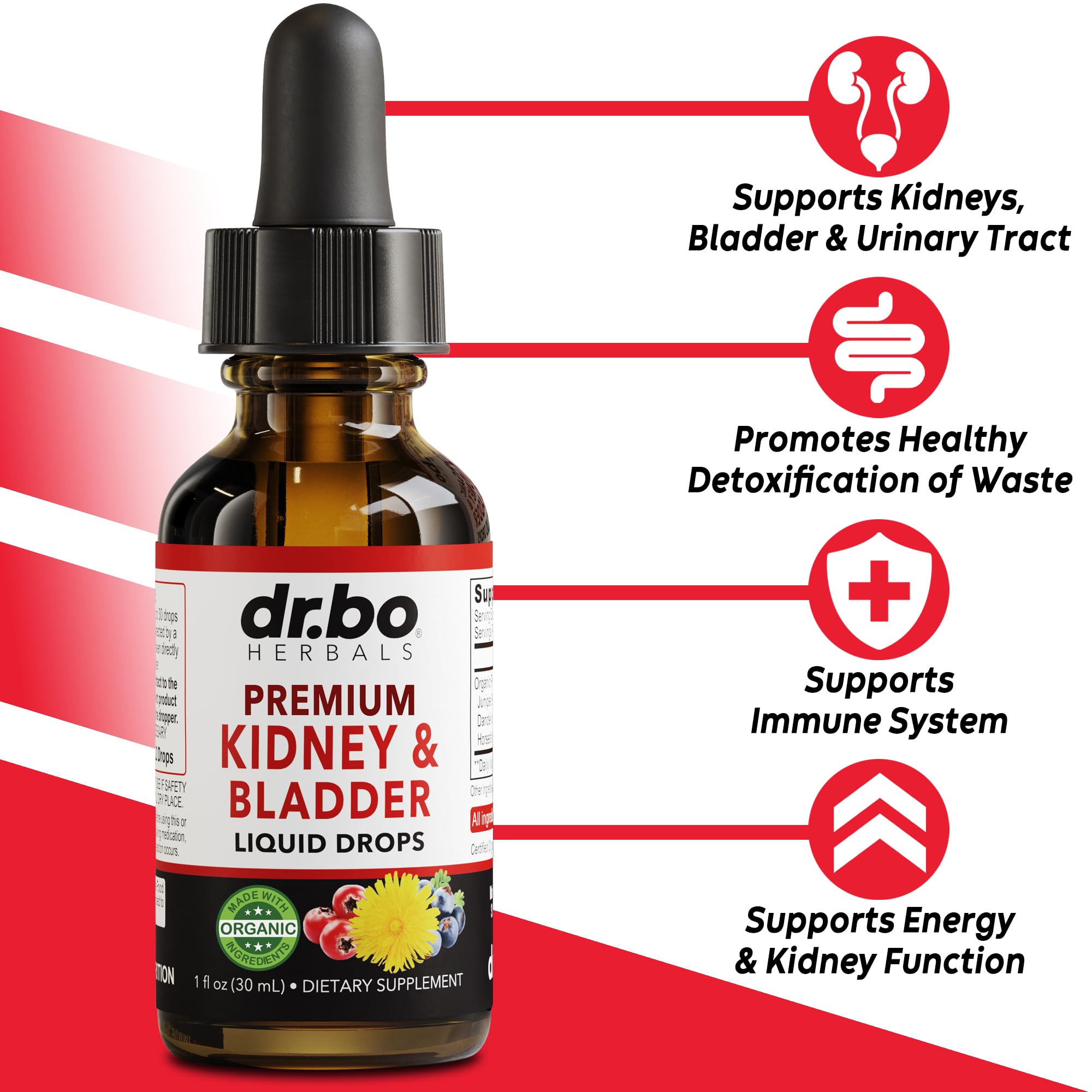 Foto 3 pulgar | Suplemento Dr. Bo Kidney Support Bladder Health 30 Ml - Venta Internacional.