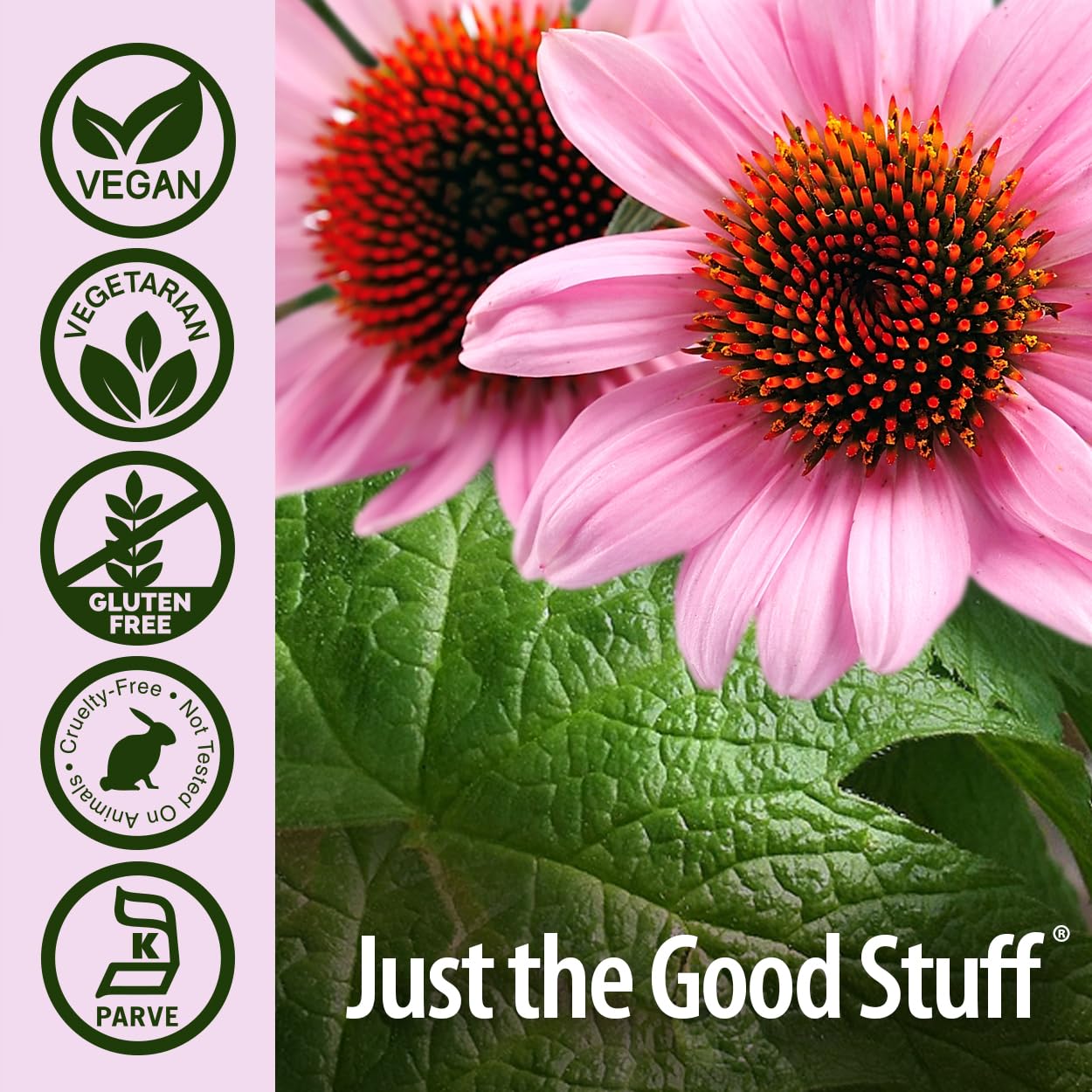 Foto 5 | Suplemento Nature's Answer Echinacea/goldenseal 60 Cápsulas - Venta Internacional.