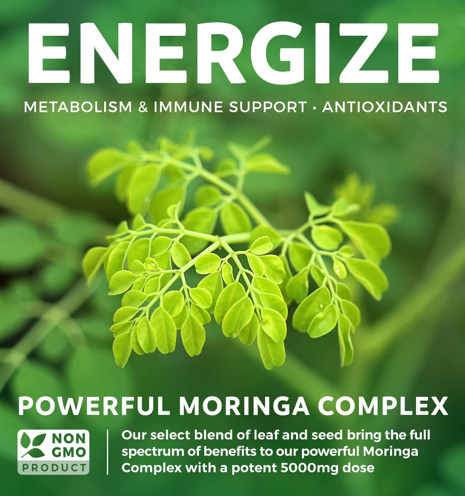 Foto 3 pulgar | Cápsulas Harmony de Moringa 120 cápsulas -  Venta Internacional