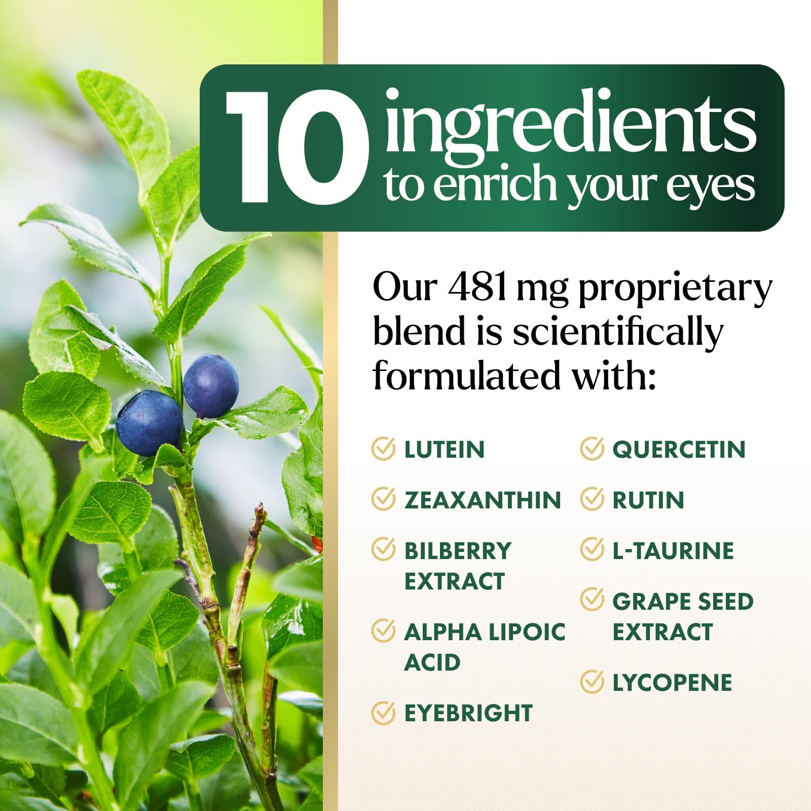 Foto 6 | Suplemento Alimenticio Vitaminas Y Minerales Para Ojos Nature's Peak 120 Cápsulas - Venta Internacional