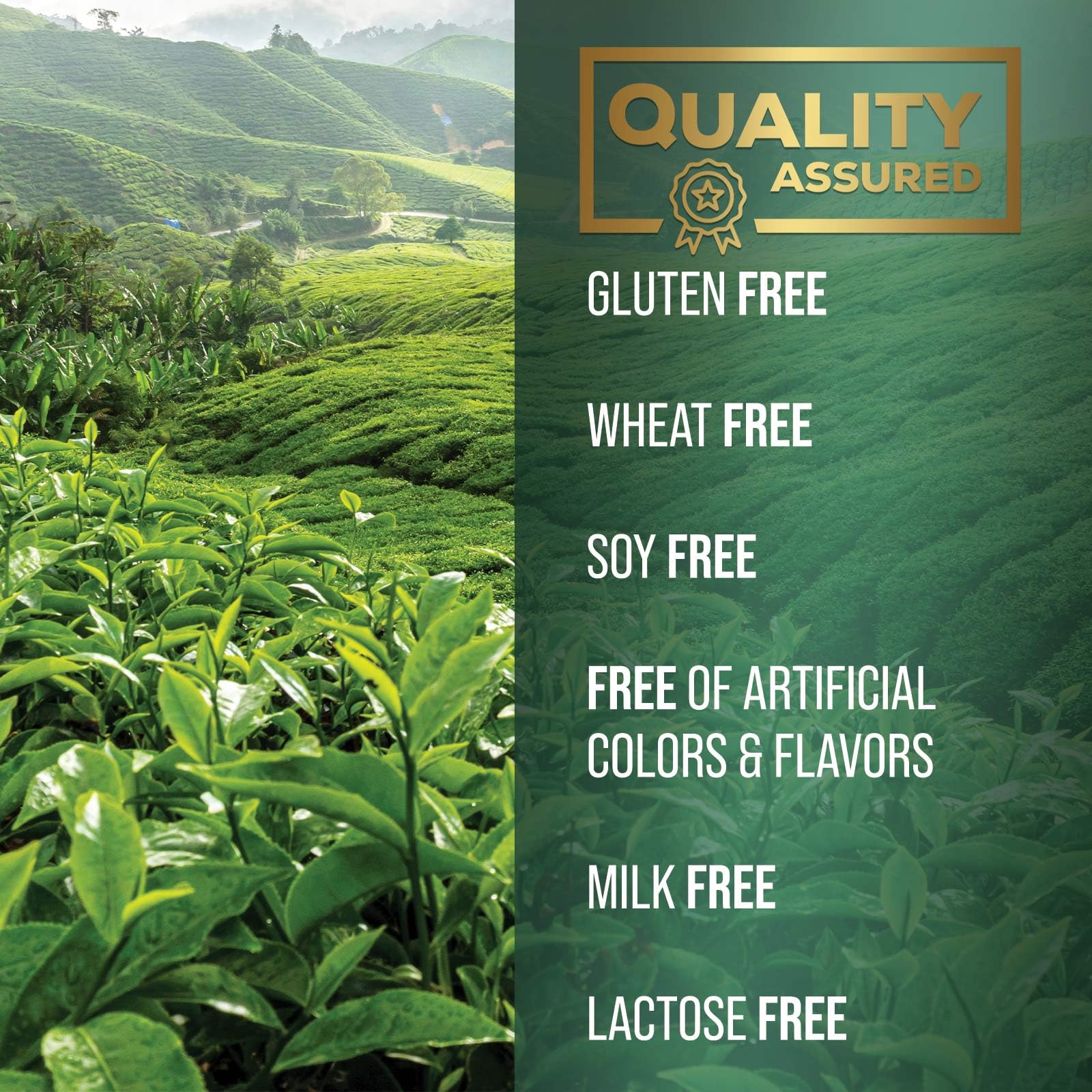 Foto 7 | Suplemento De Extracto De Té Verde Silveronyx 1000 Mg 120 Cápsulas - Venta Internacional.