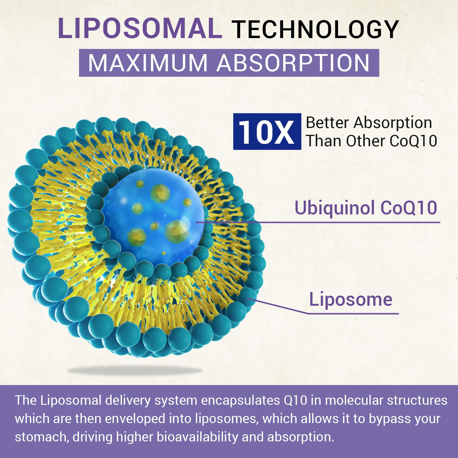 Foto 5 pulgar | Suplemento de Ubiquinol Liposomal CoQ10 Besibest 60 Cápsulas - Venta Internacional