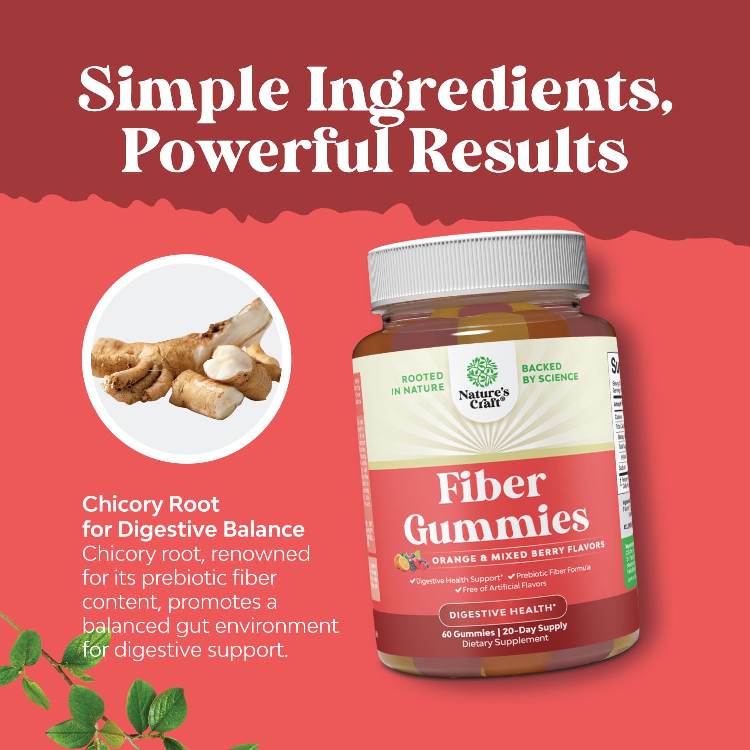 Foto 4 | Prebiótico Fiber Gummies Natures Craft Tasty 60 Unidades - Venta Internacional