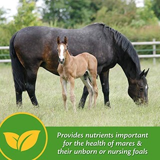 Foto 3 | Suplemento Farnam Mare Plus Para Gestación Y Lactancia, 3,4 Kg - Venta Internacional.