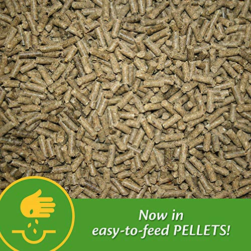 Foto 6 pulgar | Suplemento Farnam Mare Plus Para Gestación Y Lactancia, 3,4 Kg - Venta Internacional.