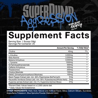 Foto 2 | Superpump Aggression De Gaspari Nutrition Antes Del Entrenamiento, 25 Porciones - Venta Internacional.