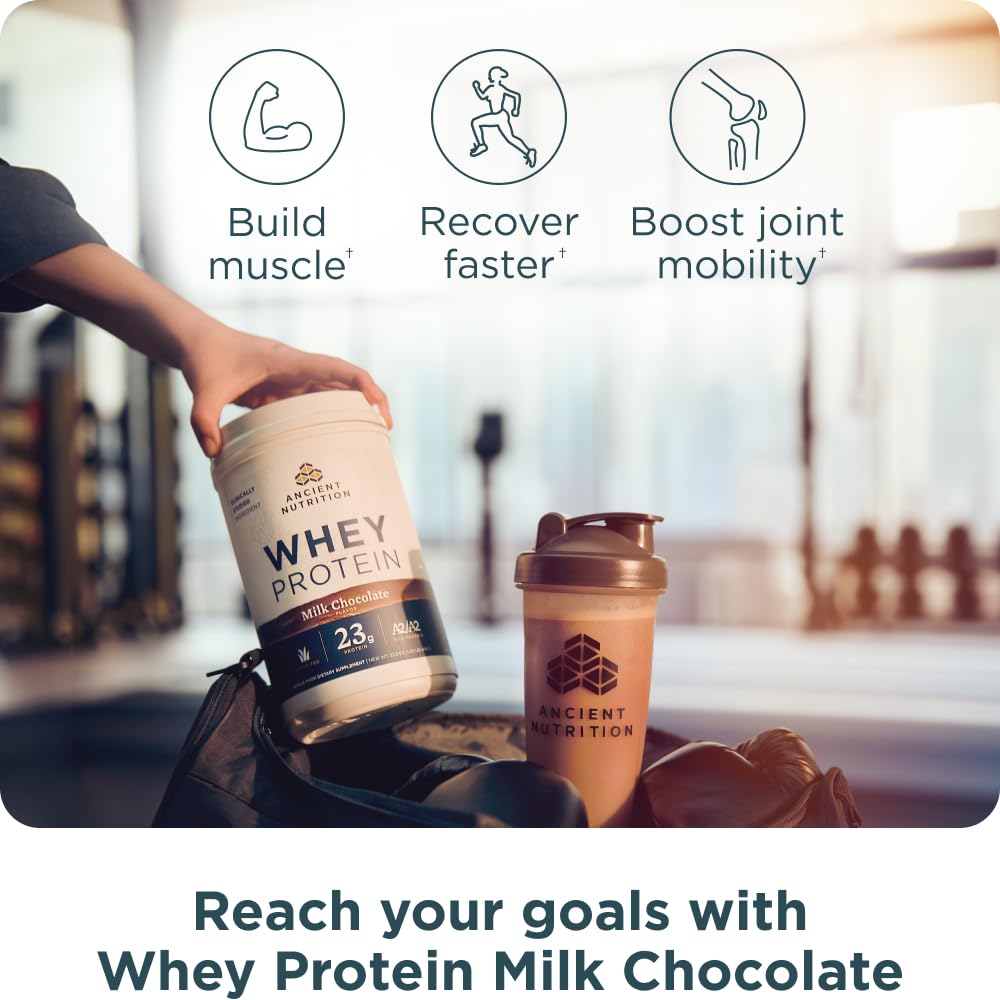 Foto 4 pulgar | Chocolate Con Leche Whey Protein Ancient Nutrition, 20 Porciones - Venta Internacional.