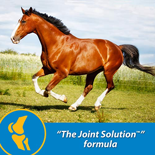 Foto 2 | Suplemento Líquido Para Articulaciones Farnam Fluidflex 32 Ml Para Caballos - Venta Internacional.