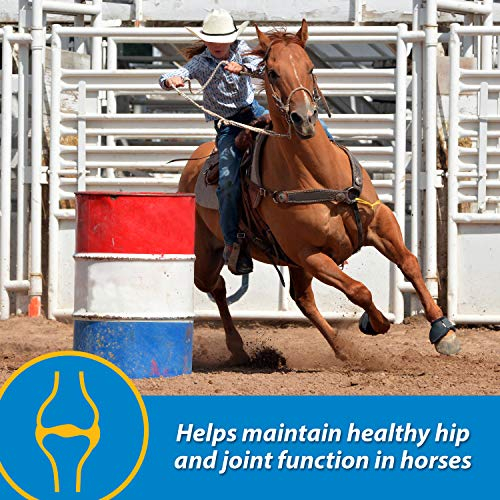Foto 4 pulgar | Suplemento Líquido Para Articulaciones Farnam Fluidflex 32 Ml Para Caballos - Venta Internacional.