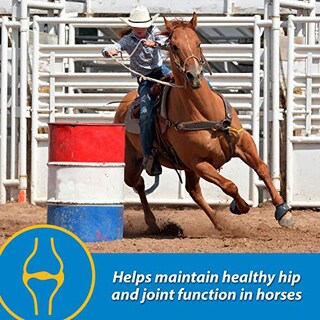 Foto 3 | Suplemento Líquido Para Articulaciones Farnam Fluidflex 32 Ml Para Caballos - Venta Internacional.