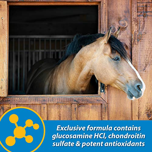 Foto 5 pulgar | Suplemento Líquido Para Articulaciones Farnam Fluidflex 32 Ml Para Caballos - Venta Internacional.
