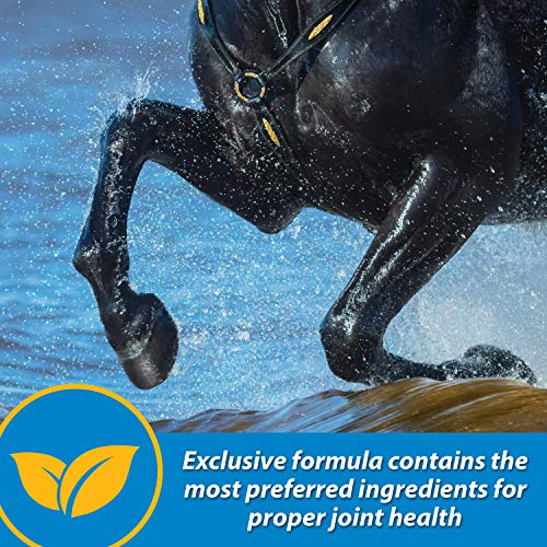 Foto 6 pulgar | Suplemento Líquido Para Articulaciones Farnam Fluidflex 32 Ml Para Caballos - Venta Internacional.