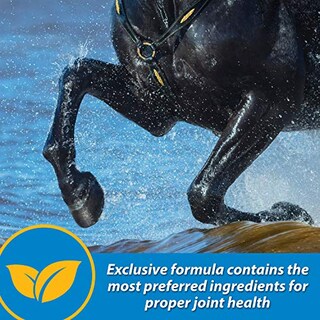 Foto 5 | Suplemento Líquido Para Articulaciones Farnam Fluidflex 32 Ml Para Caballos - Venta Internacional.
