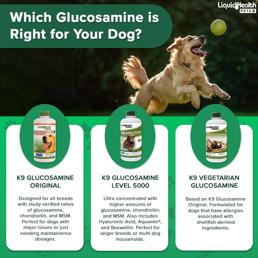 Foto 8 pulgar | Glucosamina Líquida Para Perros Liquidhealth K9 960 Ml - Venta Internacional.