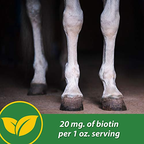 Foto 6 pulgar | El Suplemento Para Pezuñas Farnam Hb 15 Apoya Un Crecimiento Saludable De 3,18 Kg - Venta Internacional.