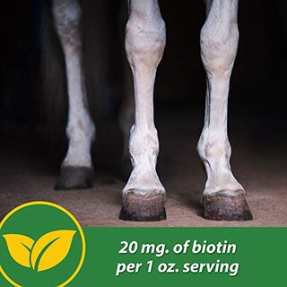 Foto 5 | El Suplemento Para Pezuñas Farnam Hb 15 Apoya Un Crecimiento Saludable De 3,18 Kg - Venta Internacional.