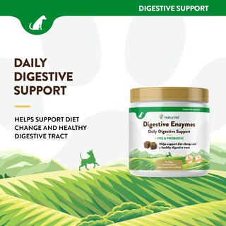 Foto 3 | Enzimas Digestivas Más Probióticos Y Prebióticos Para Perros Y Gatos - Venta Internacional.