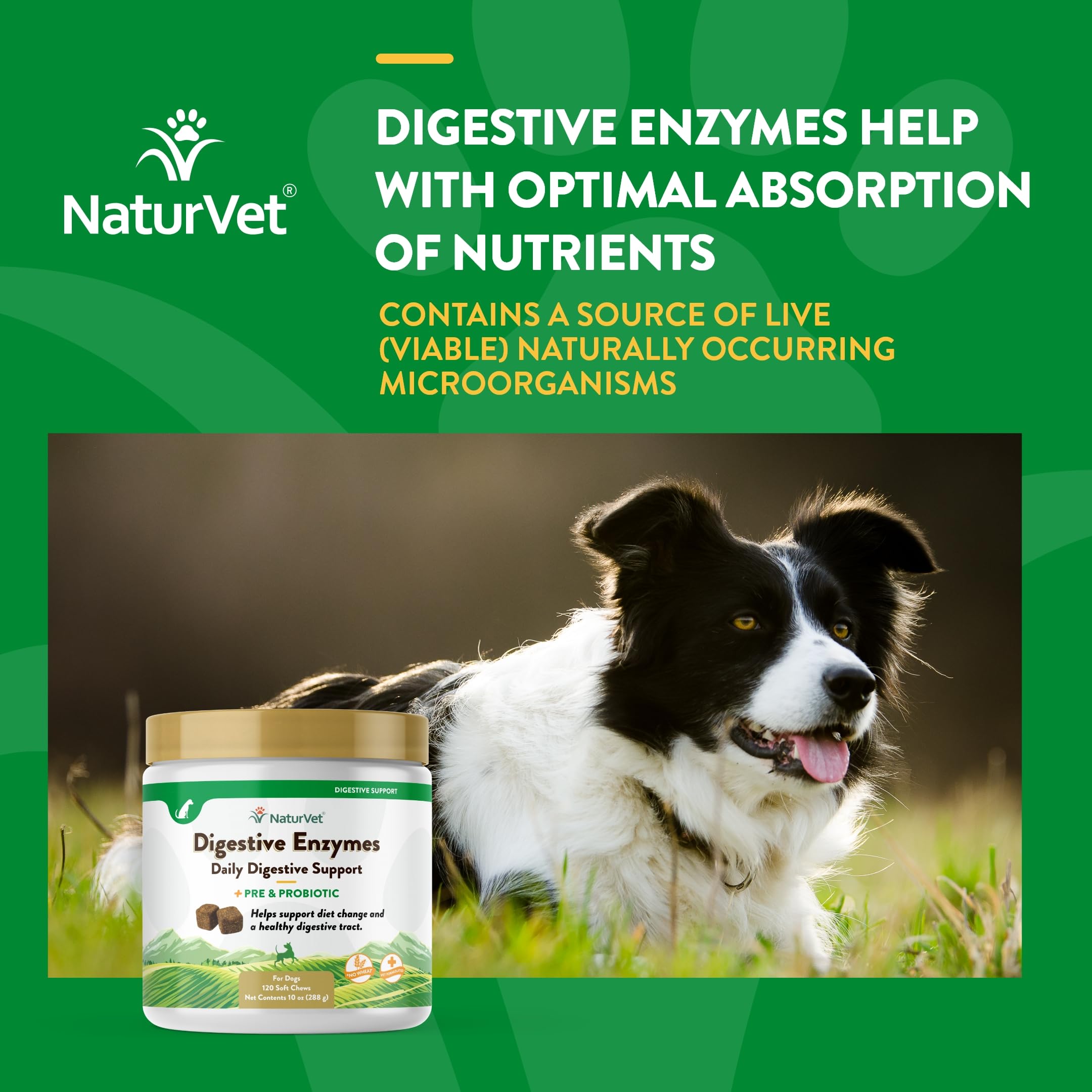 Foto 5 pulgar | Enzimas Digestivas Más Probióticos Y Prebióticos Para Perros Y Gatos - Venta Internacional.