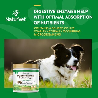 Foto 4 | Enzimas Digestivas Más Probióticos Y Prebióticos Para Perros Y Gatos - Venta Internacional.