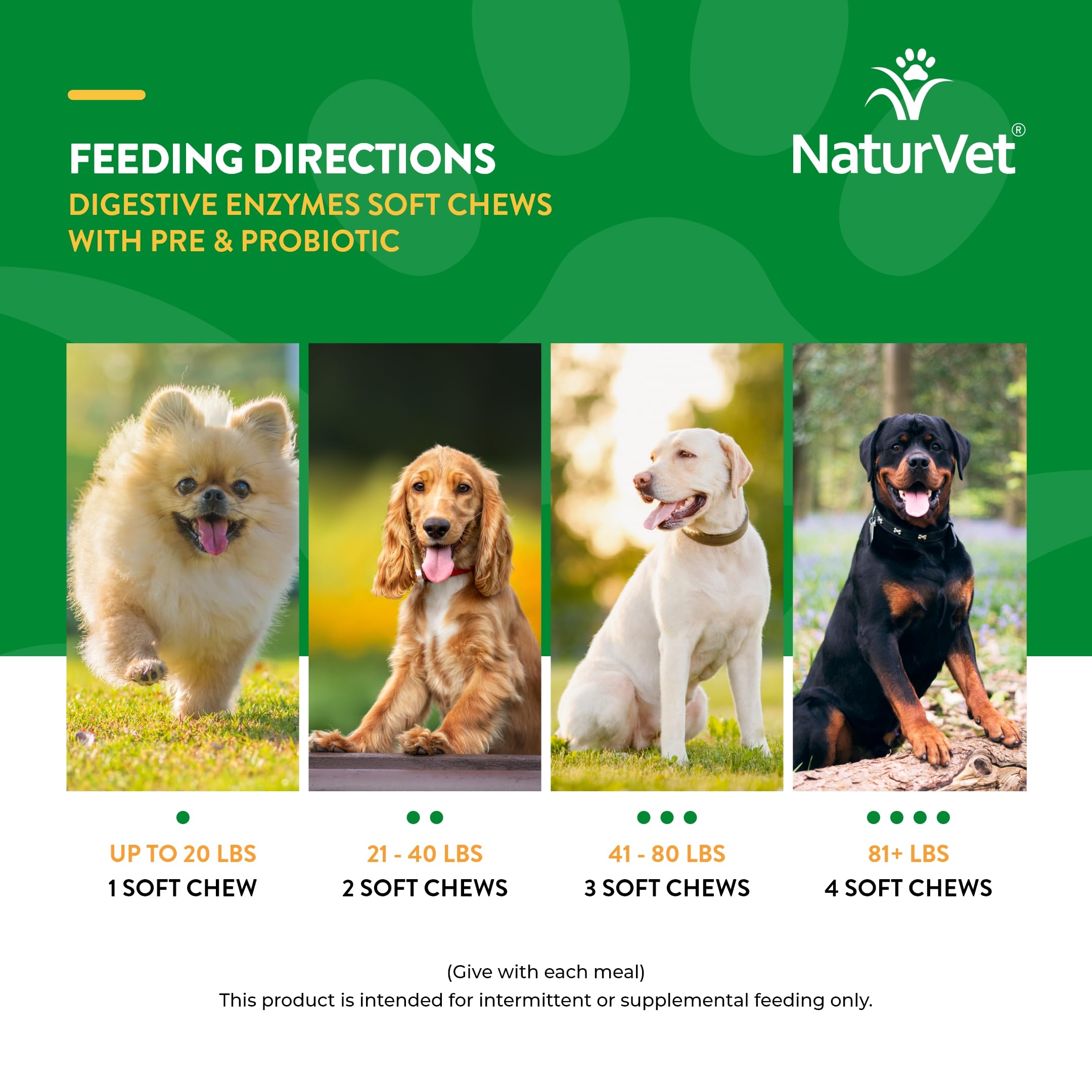 Foto 8 pulgar | Enzimas Digestivas Más Probióticos Y Prebióticos Para Perros Y Gatos - Venta Internacional.