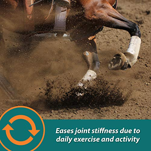 Foto 5 pulgar | Suplemento Farnam Next Level Horse Joint, 32 Onzas, Para Caballos Y D. - Venta Internacional.