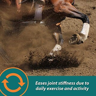 Foto 4 | Suplemento Farnam Next Level Horse Joint, 32 Onzas, Para Caballos Y D. - Venta Internacional.