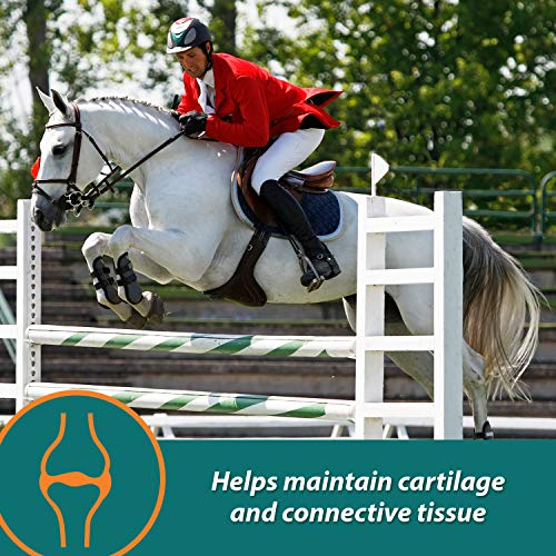 Foto 6 pulgar | Suplemento Farnam Next Level Horse Joint, 32 Onzas, Para Caballos Y D. - Venta Internacional.