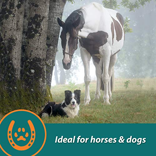 Foto 8 pulgar | Suplemento Farnam Next Level Horse Joint, 32 Onzas, Para Caballos Y D. - Venta Internacional.