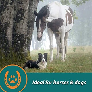 Foto 7 | Suplemento Farnam Next Level Horse Joint, 32 Onzas, Para Caballos Y D. - Venta Internacional.