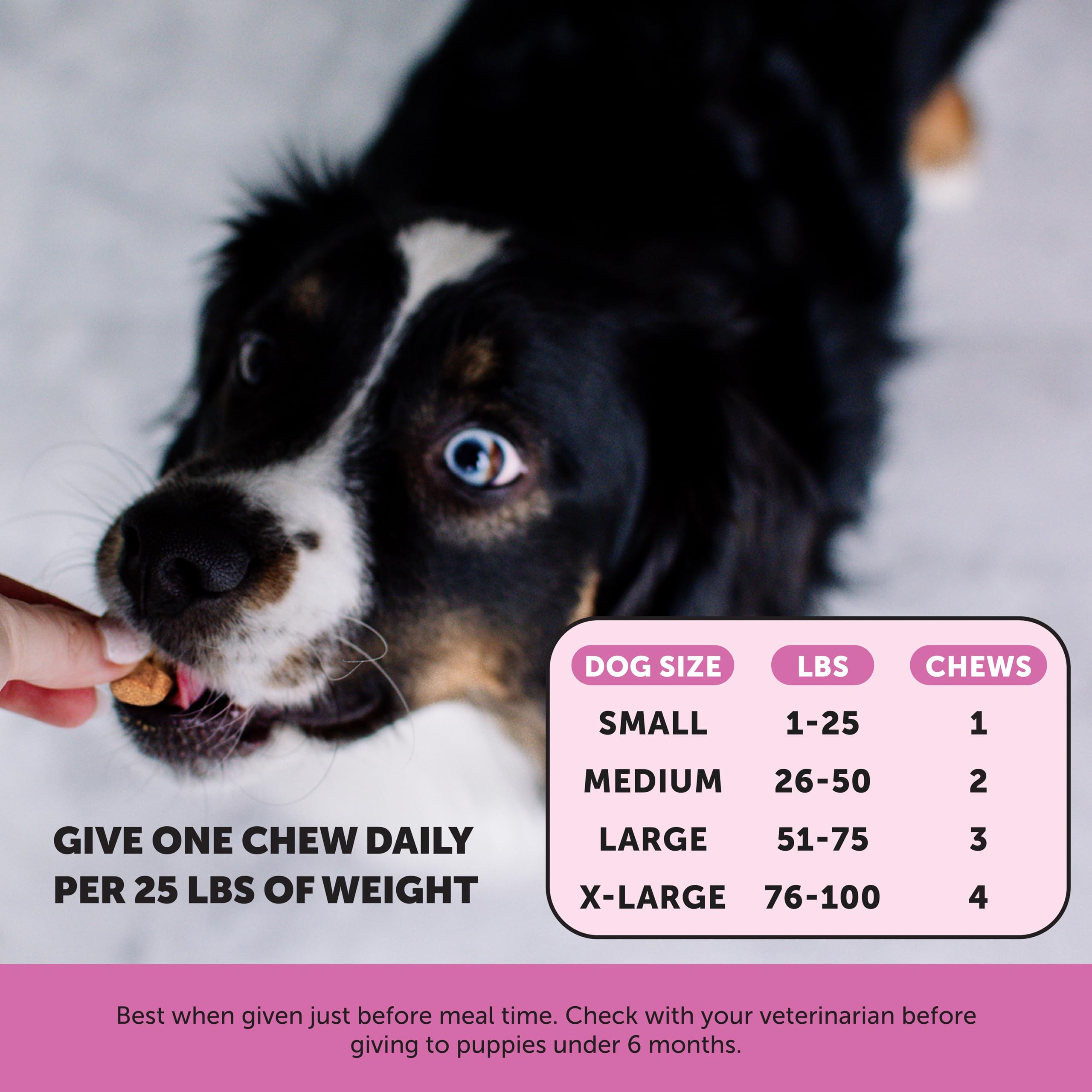 Foto 7 | Suplemento Multivitamínico Para Perros Pet Honesty Con Glucosamina, 90 Unidades - Venta Internacional.