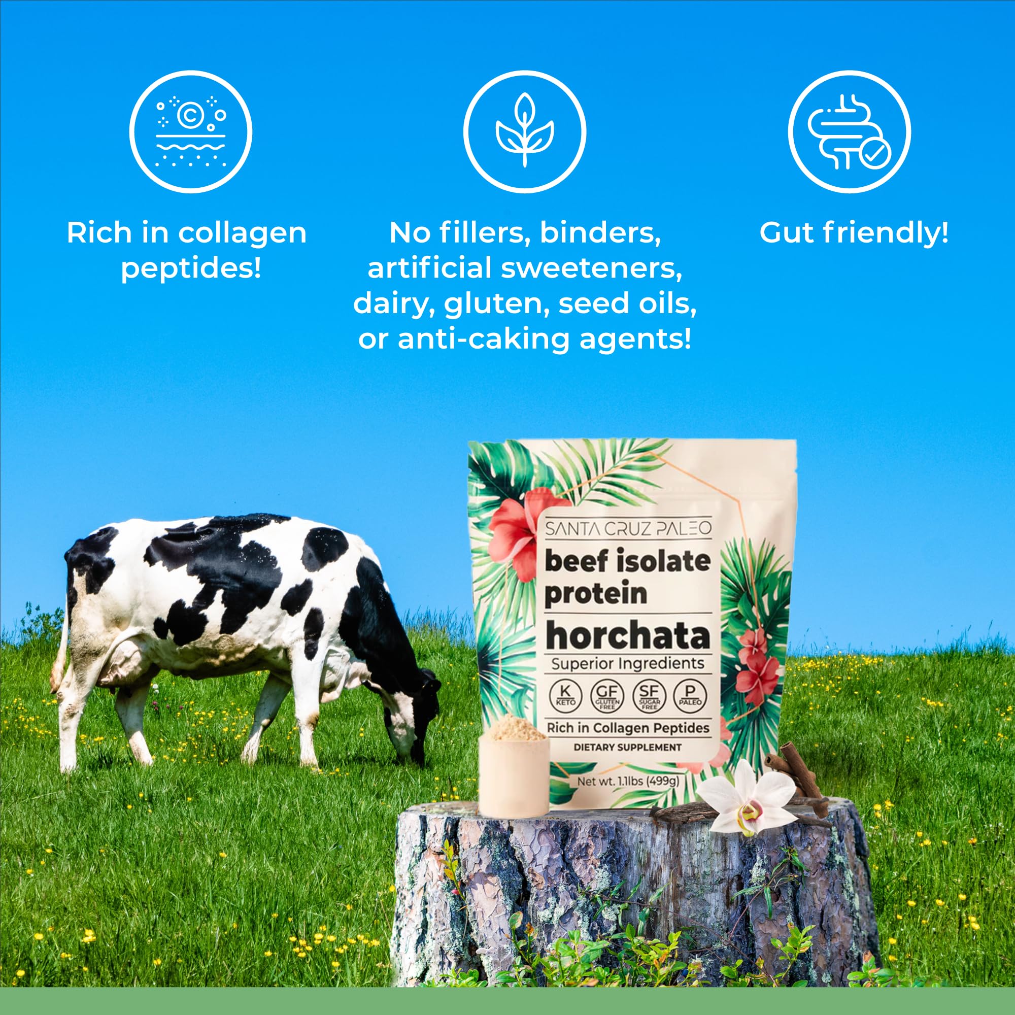Foto 4 pulgar | Proteína En Polvo Santa Cruz Paleo Beef Isolate Horchata 525g - Venta Internacional.
