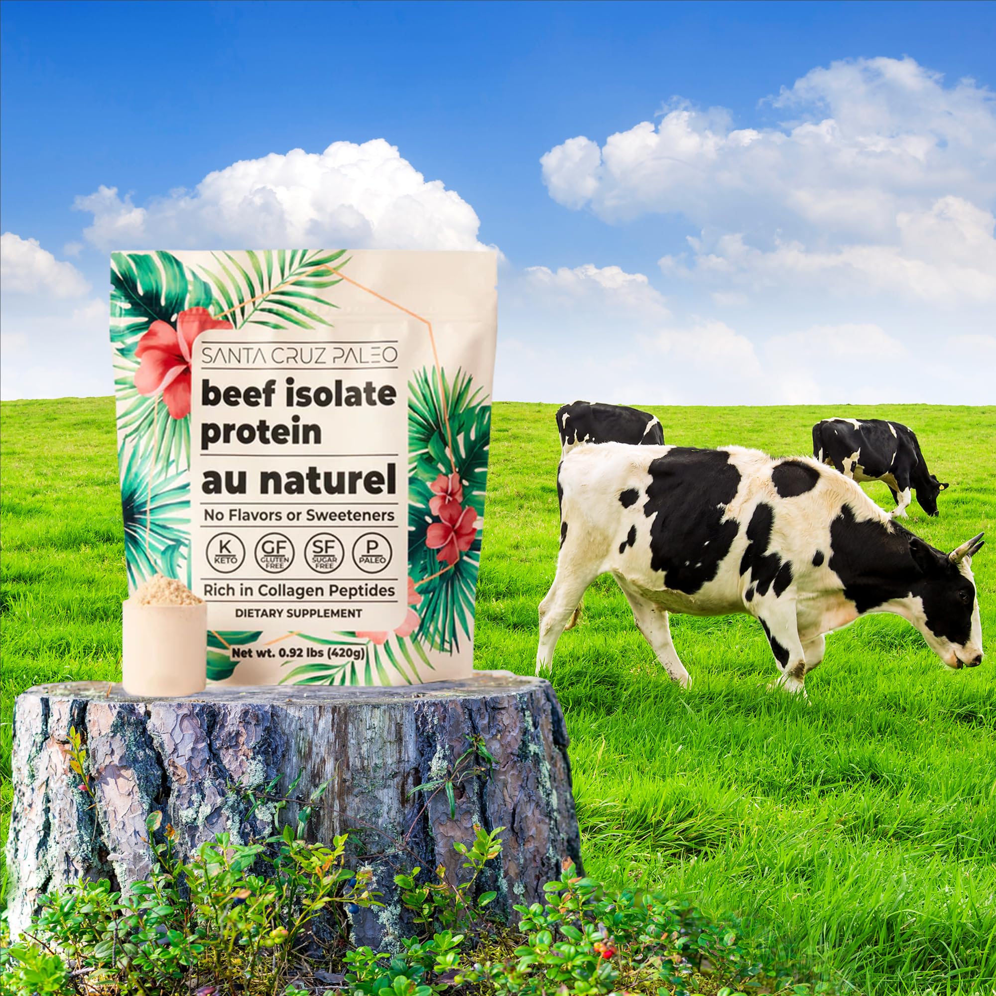 Foto 3 pulgar | Proteína En Polvo Santa Cruz Paleo Beef Isolate 420g - Venta Internacional.
