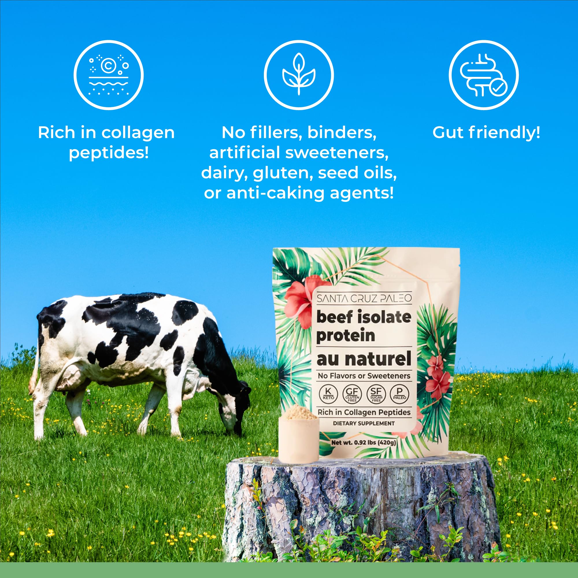 Foto 5 pulgar | Proteína En Polvo Santa Cruz Paleo Beef Isolate 420g - Venta Internacional.