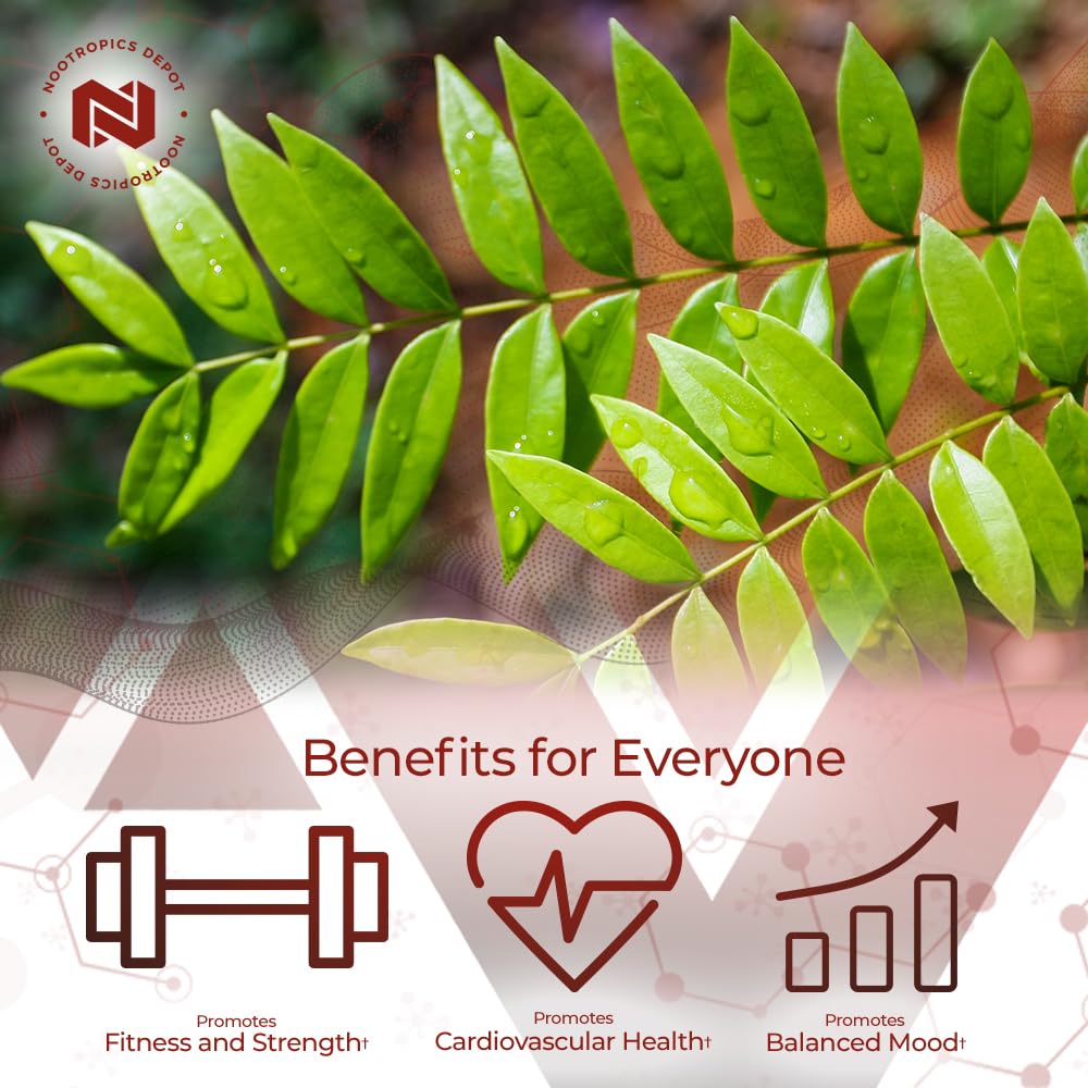 Foto 4 pulgar | Suplemento Nootropics Depot Tongkat Ali Extract 100 Mg 60 Cápsulas - Venta Internacional.