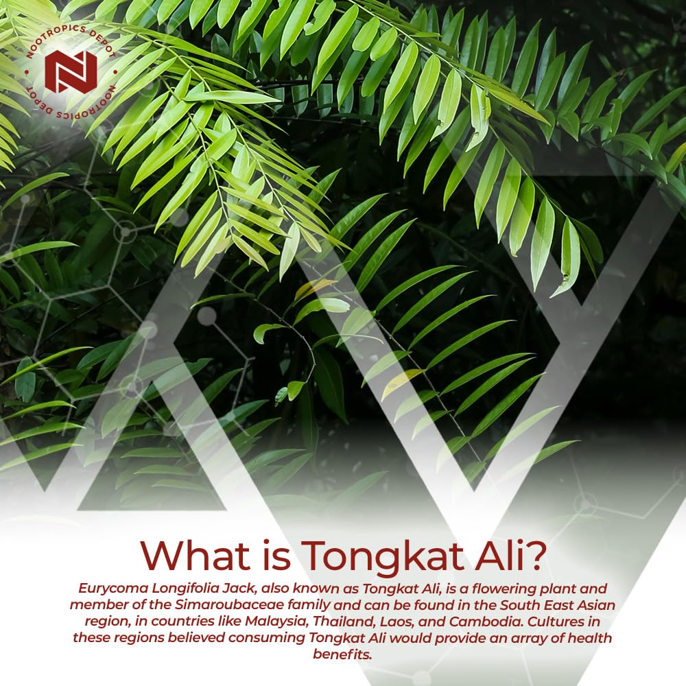 Foto 5 pulgar | Suplemento Nootropics Depot Tongkat Ali Extract 100 Mg 60 Cápsulas - Venta Internacional.