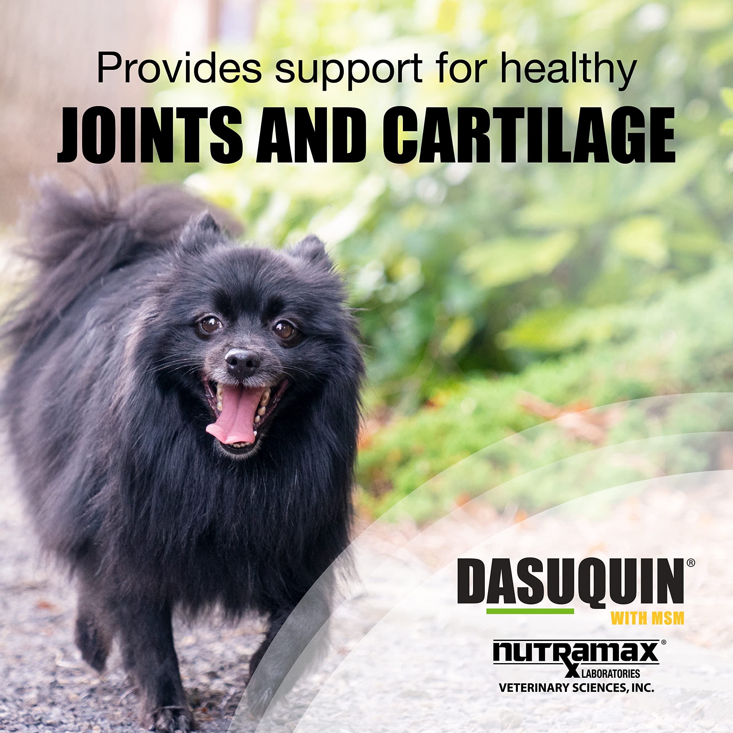 Foto 2 | Suplemento Para La Salud De Las Articulaciones Nutramax Dasuquin Con Msm Para Perros - Venta Internacional.
