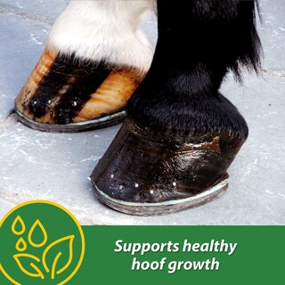 Foto 2 | El Suplemento Farnam Hb 15 Hoof Apoya Un Crecimiento Saludable De 1,36 Kg - Venta Internacional.