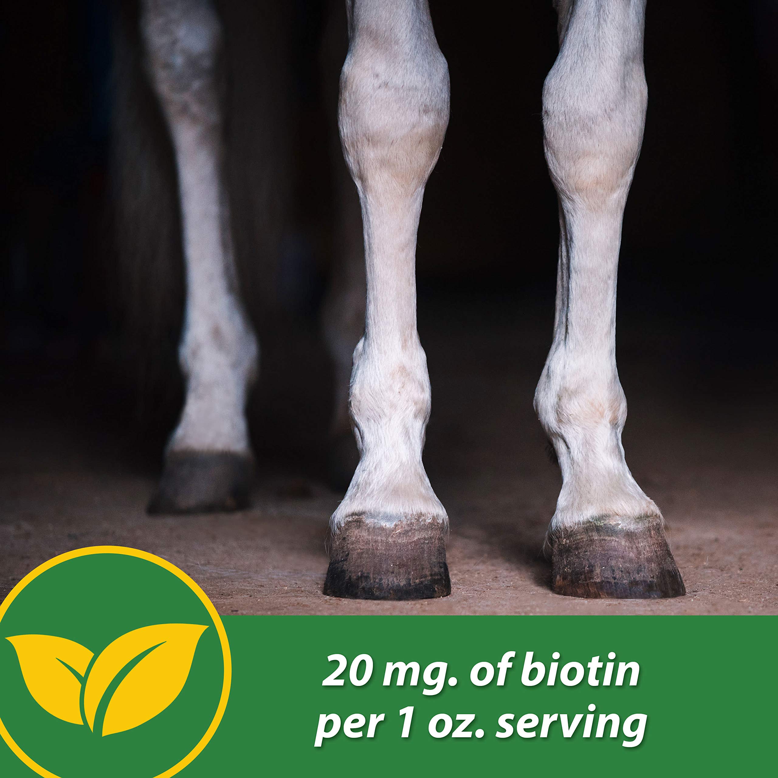 Foto 6 pulgar | El Suplemento Farnam Hb 15 Hoof Apoya Un Crecimiento Saludable De 1,36 Kg - Venta Internacional.