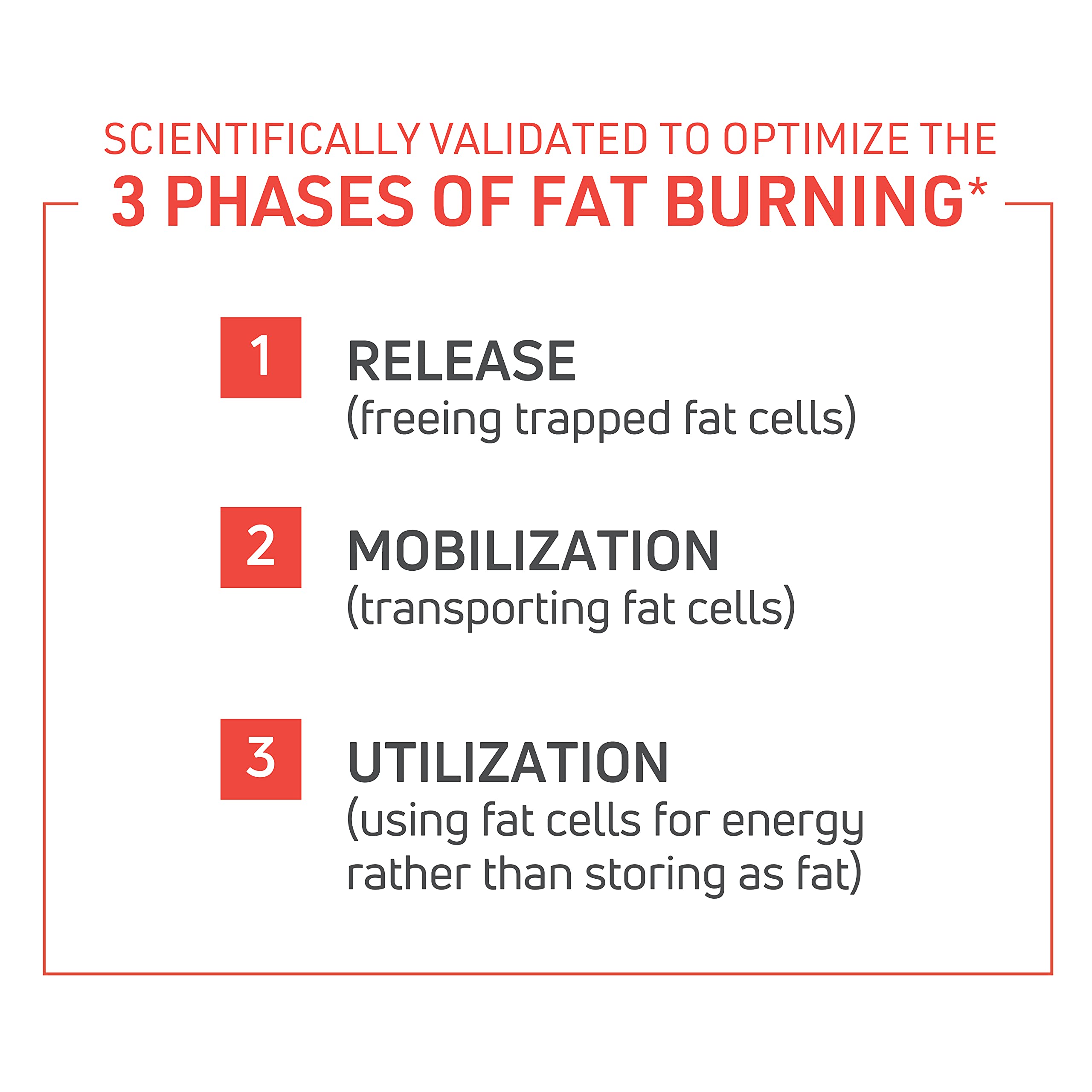 Foto 4 pulgar | Suplemento Novex Biotech Thermodyne Fat Burner 120 Píldoras - Venta Internacional.