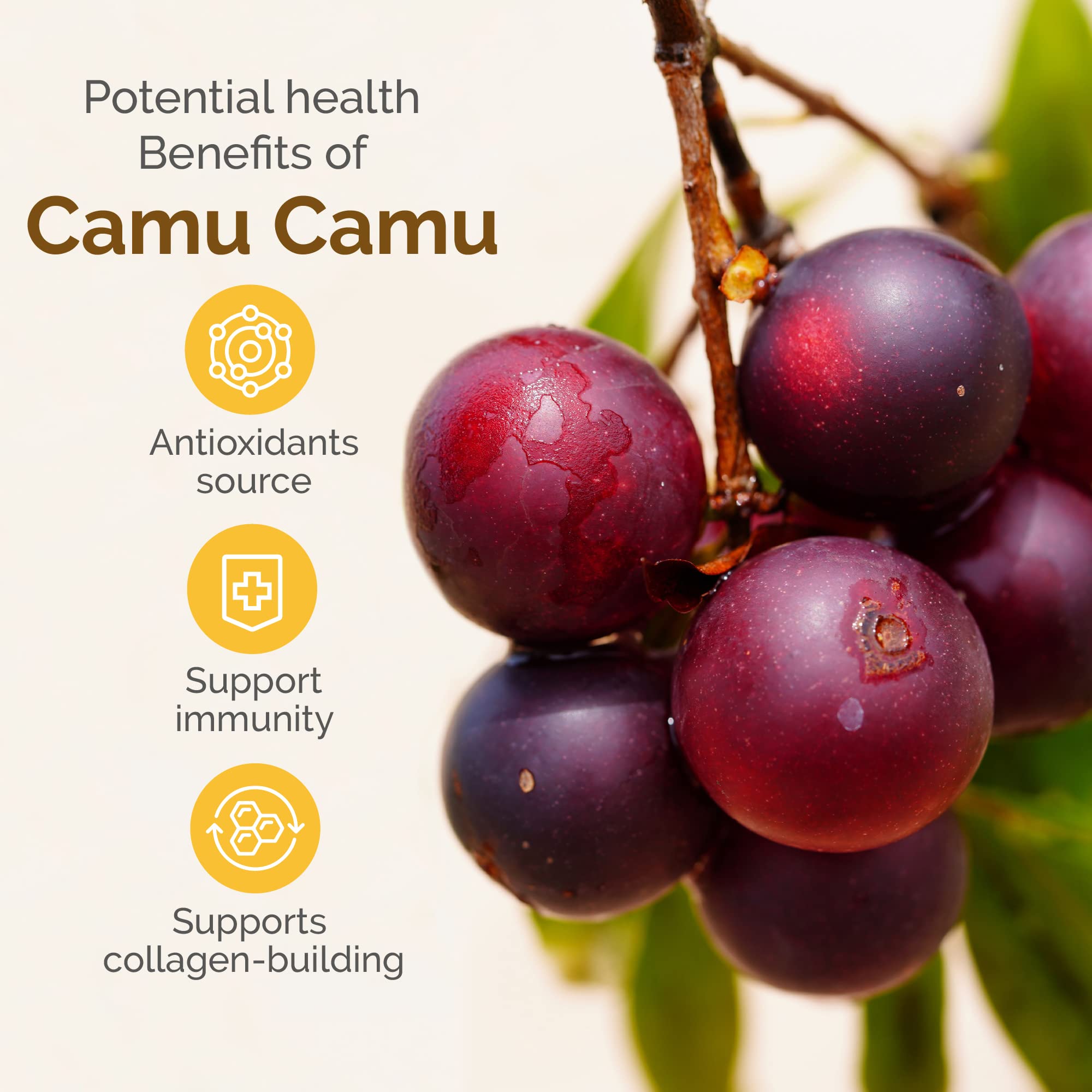 Foto 6 pulgar | Superalimento En Polvo Zint Camu Camu Organic 100g - Venta Internacional.