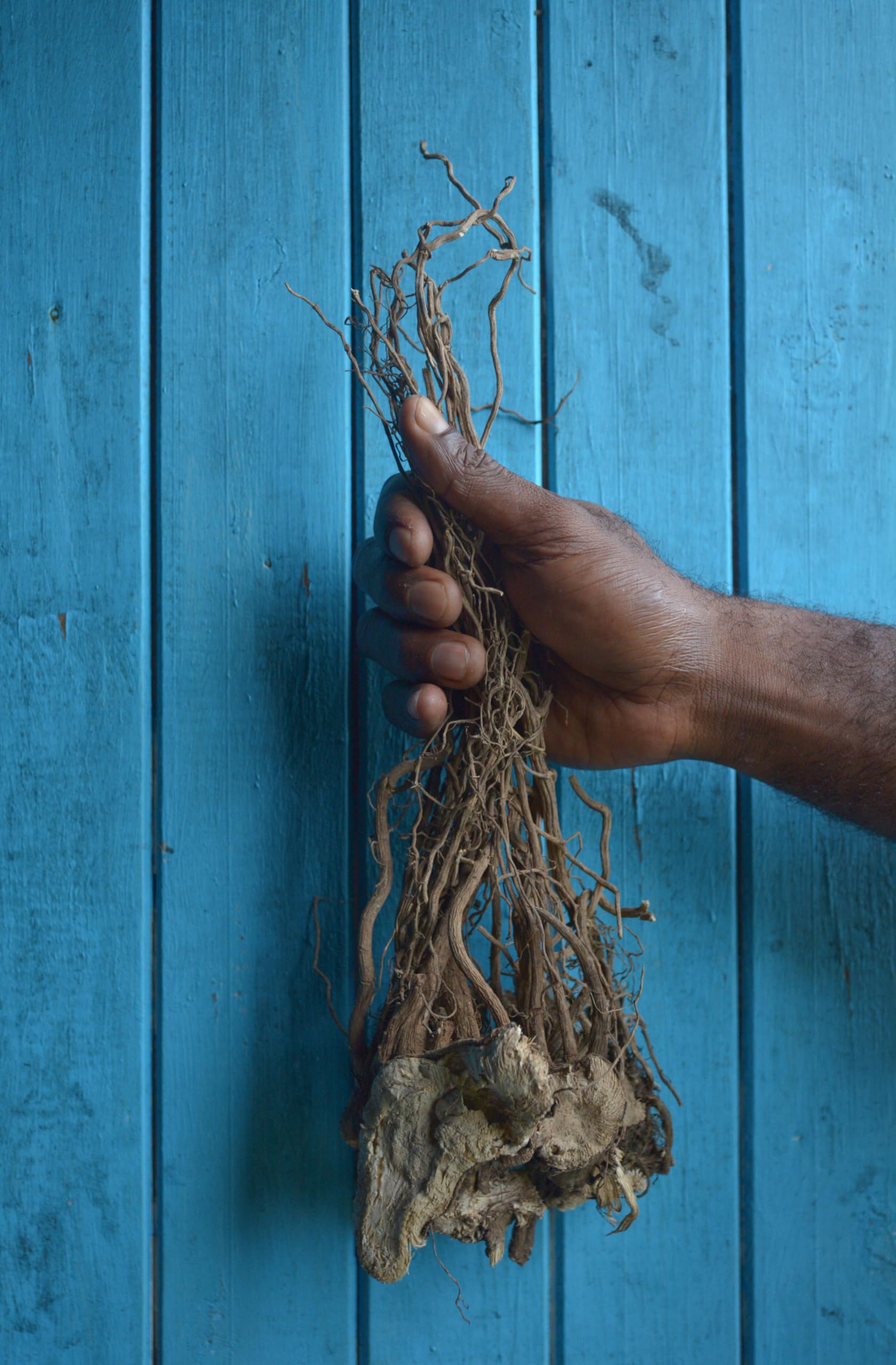 Foto 4 pulgar | Té De Kava Ceremonial En Polvo Sebotanicals Vanuatu Sangava 250 Ml - Venta Internacional.