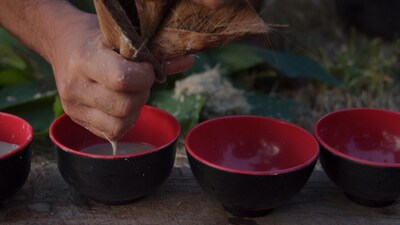 Foto 4 | Té De Kava Ceremonial En Polvo Sebotanicals Vanuatu Sangava 250 Ml - Venta Internacional.