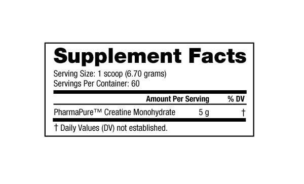 Foto 3 | Suplemento Nutrabio Creatine Burst Micronizado 300g - Venta Internacional.