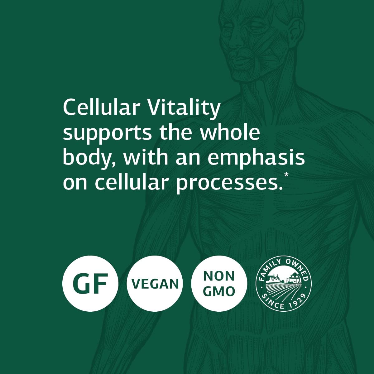 Foto 5 pulgar | Suplemento B Vitality De Standard Process Inc., Con Coq10, 90 Cápsulas - Venta Internacional.