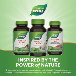 Foto 7 | Suplemento Nature's Way Garlic Bulb 580 Mg 100 Cápsulas - Venta Internacional.