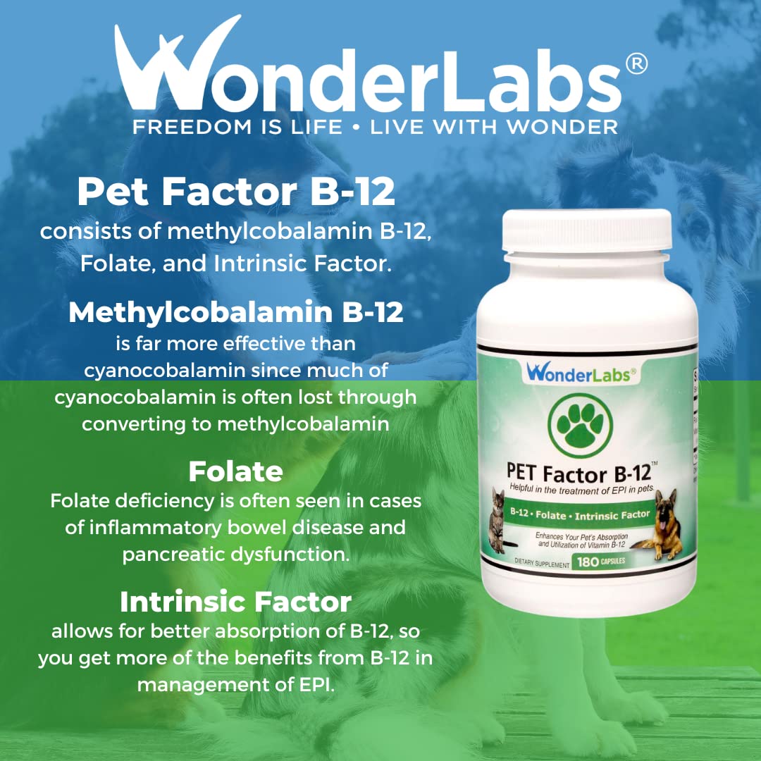 Foto 5 | Suplemento Wonder Laboratories Pet Factor B-12 180 Cápsulas - Venta Internacional.