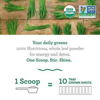 Foto 2 | Suplemento Amazing Grass Wheat Grass Powder, 100 Porciones - Venta Internacional.