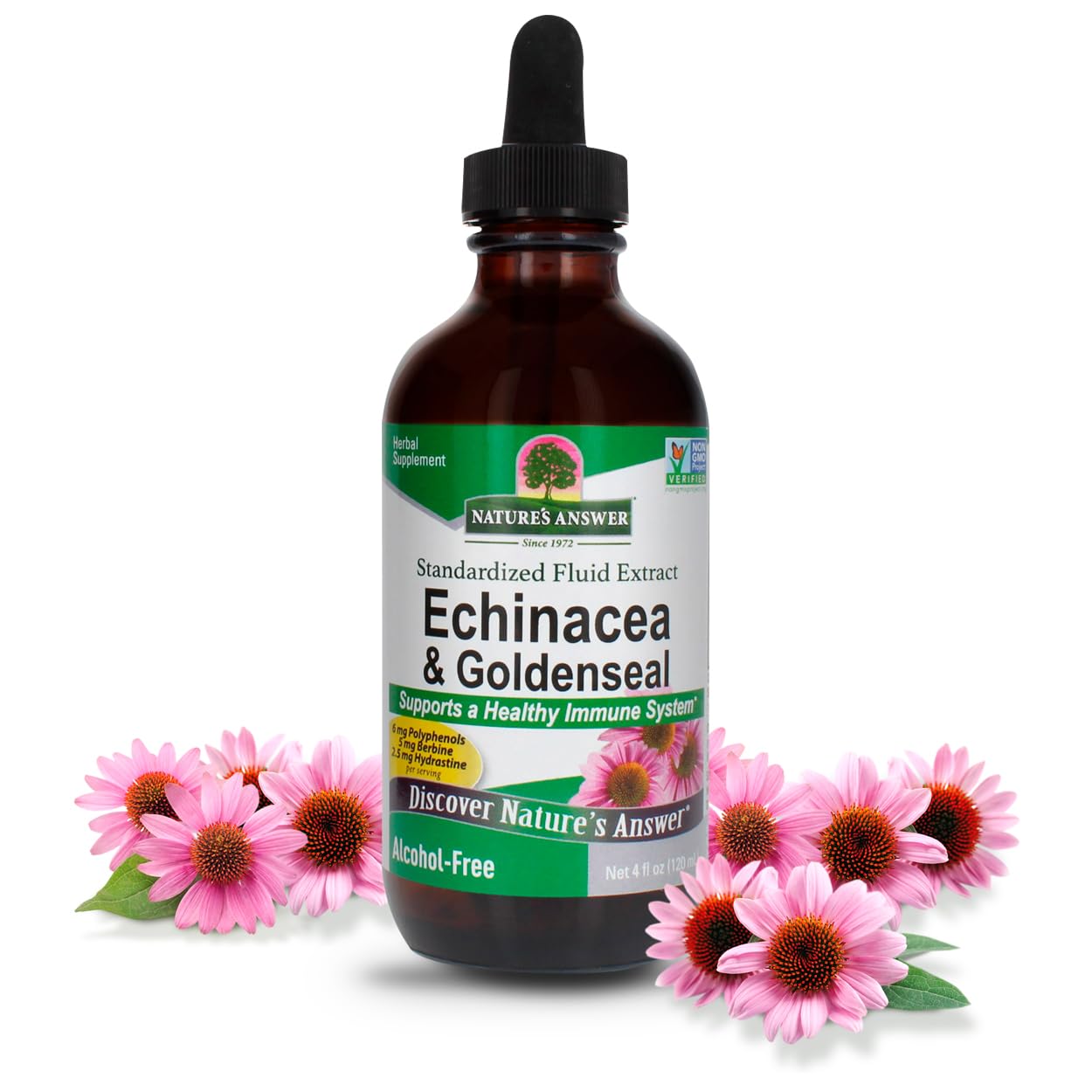 Foto 2 pulgar | Suplemento Nature's Answer de Equinácea 120 Ml - Venta Internacional